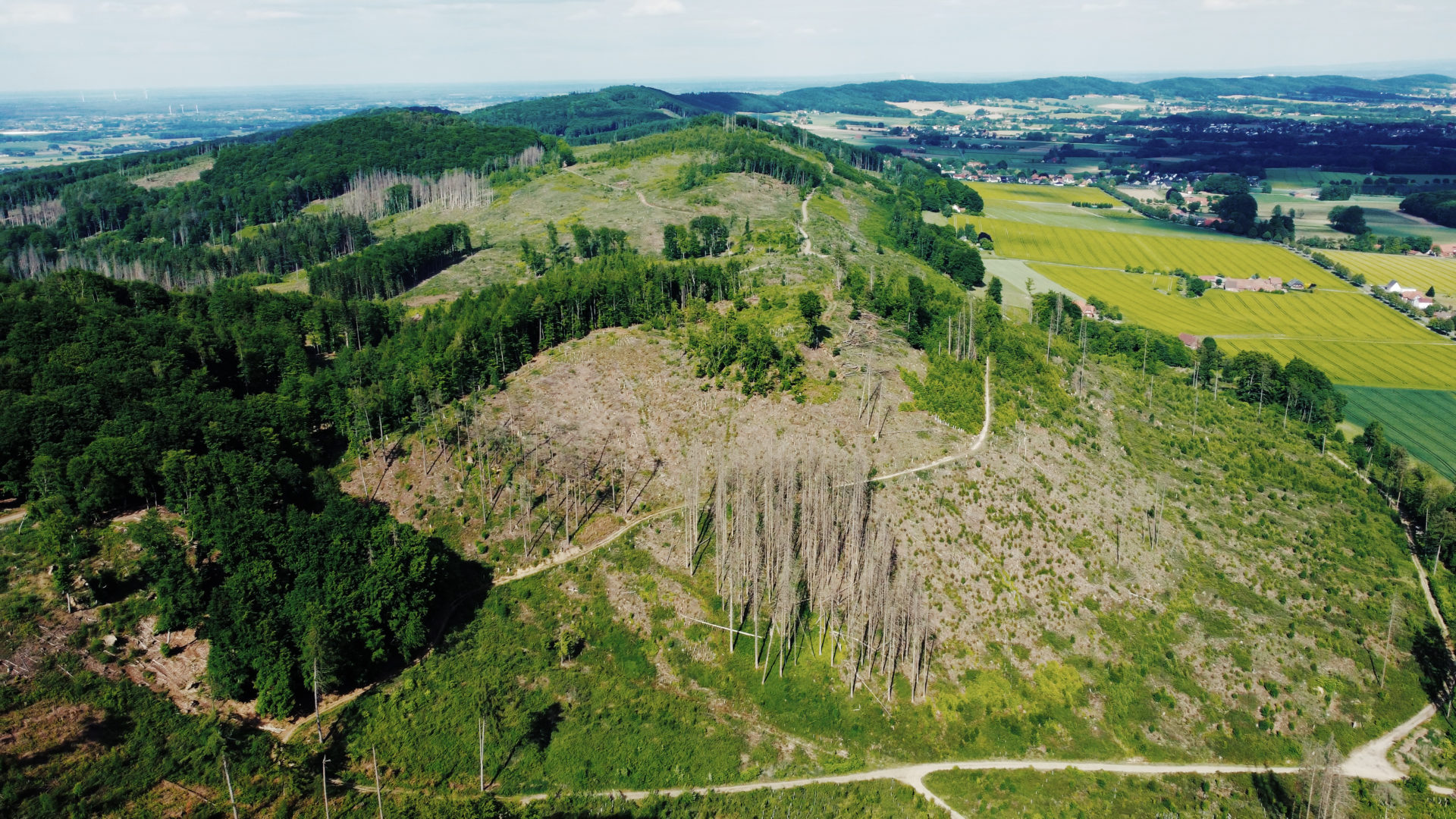 Public Viewing – Klimageschichten aus dem Mühlenkreis
