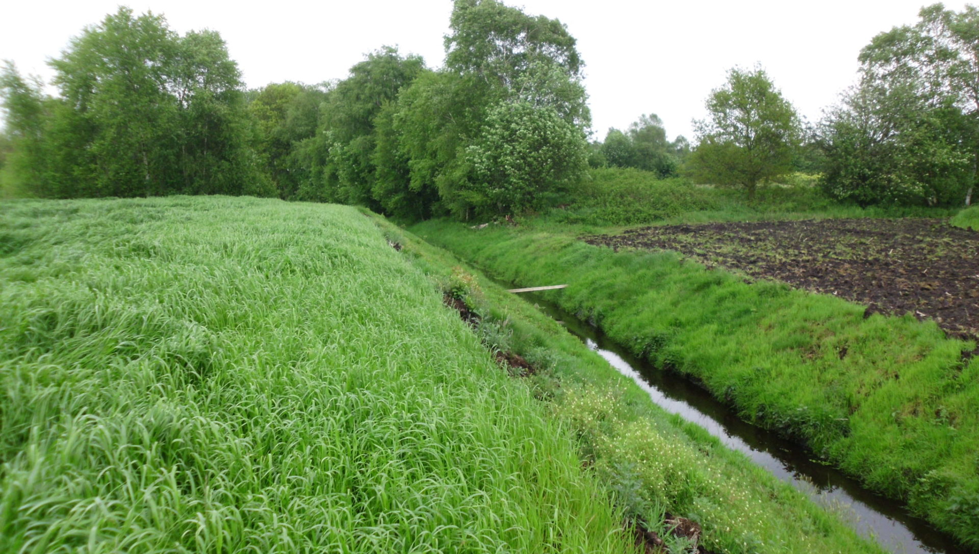 Landwirtschaft im Wandel – Wasserwirtschaft im Fokus