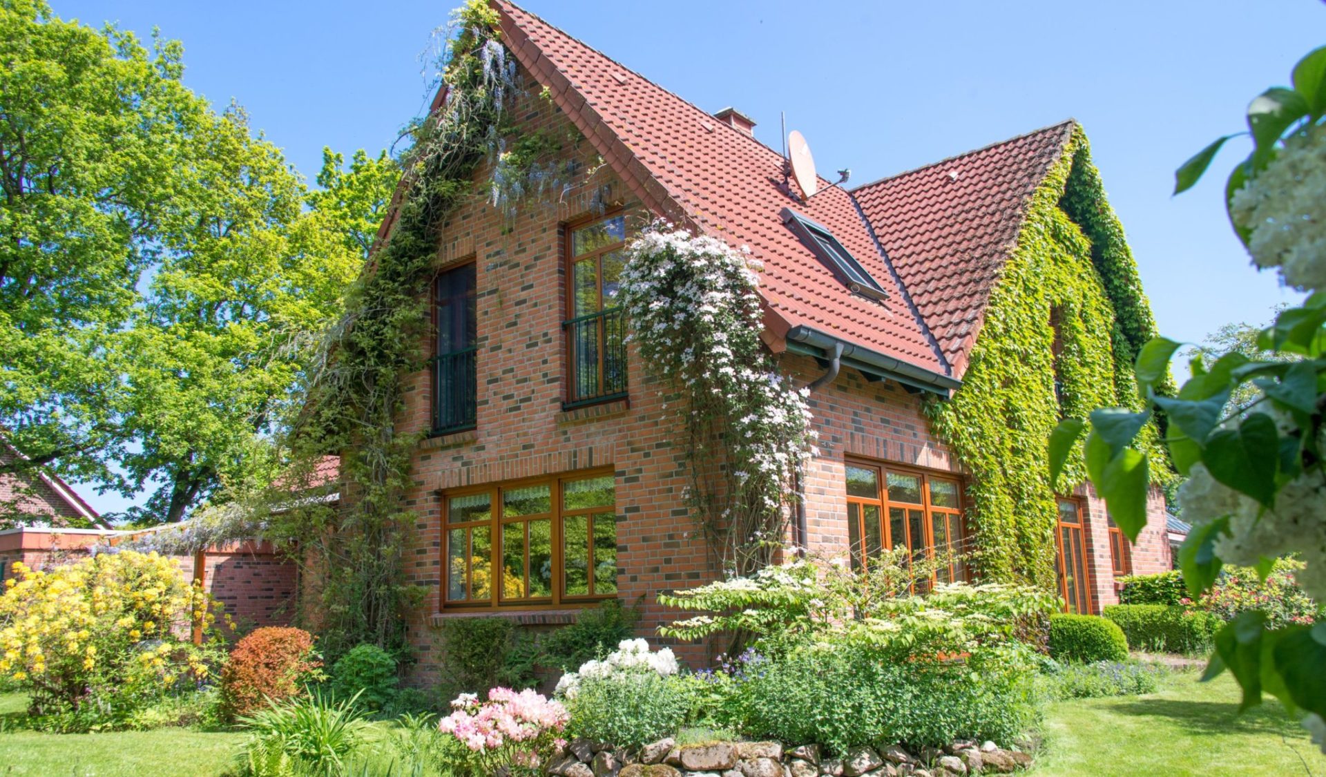 Mit Fassadenbegrünung zu mehr Wohnqualität – so geht‘s