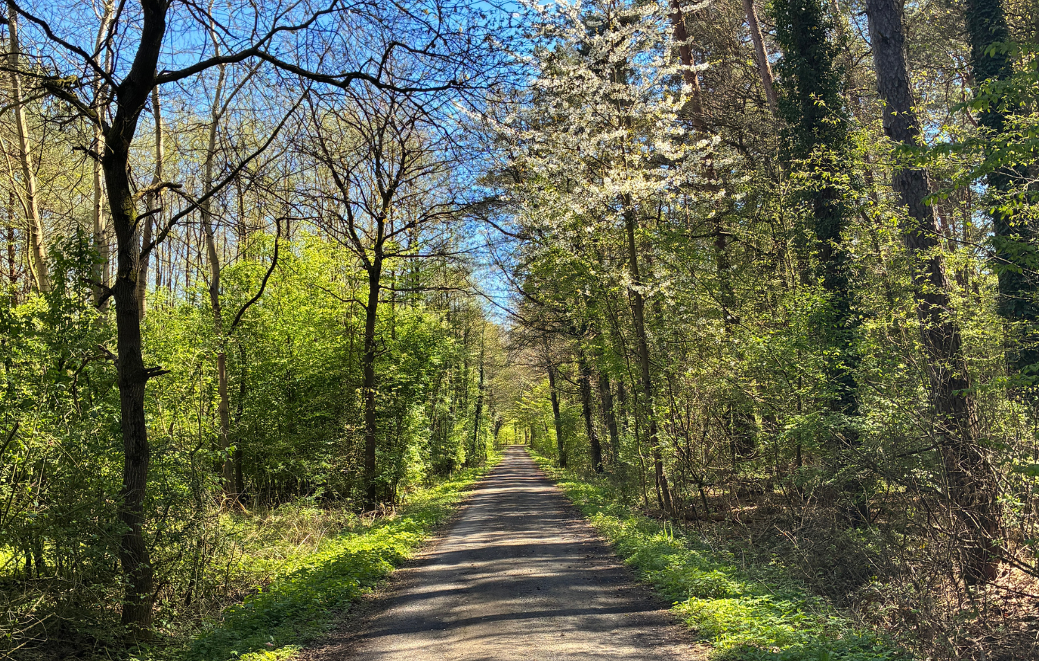 Mit Rad und Landrat rund um den Osterwald